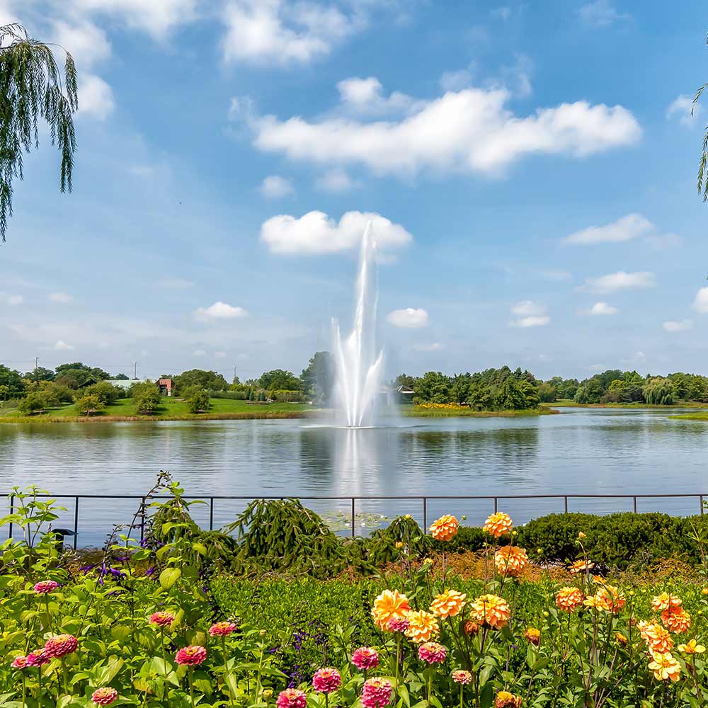 North Shore Estate Planning