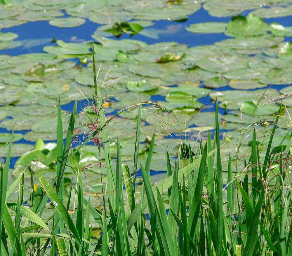 North Shore Estate Planning